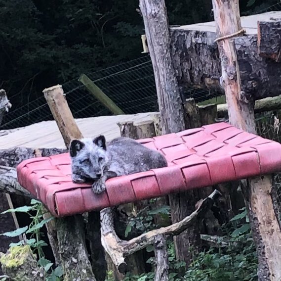 STWA childrens creche tweet media