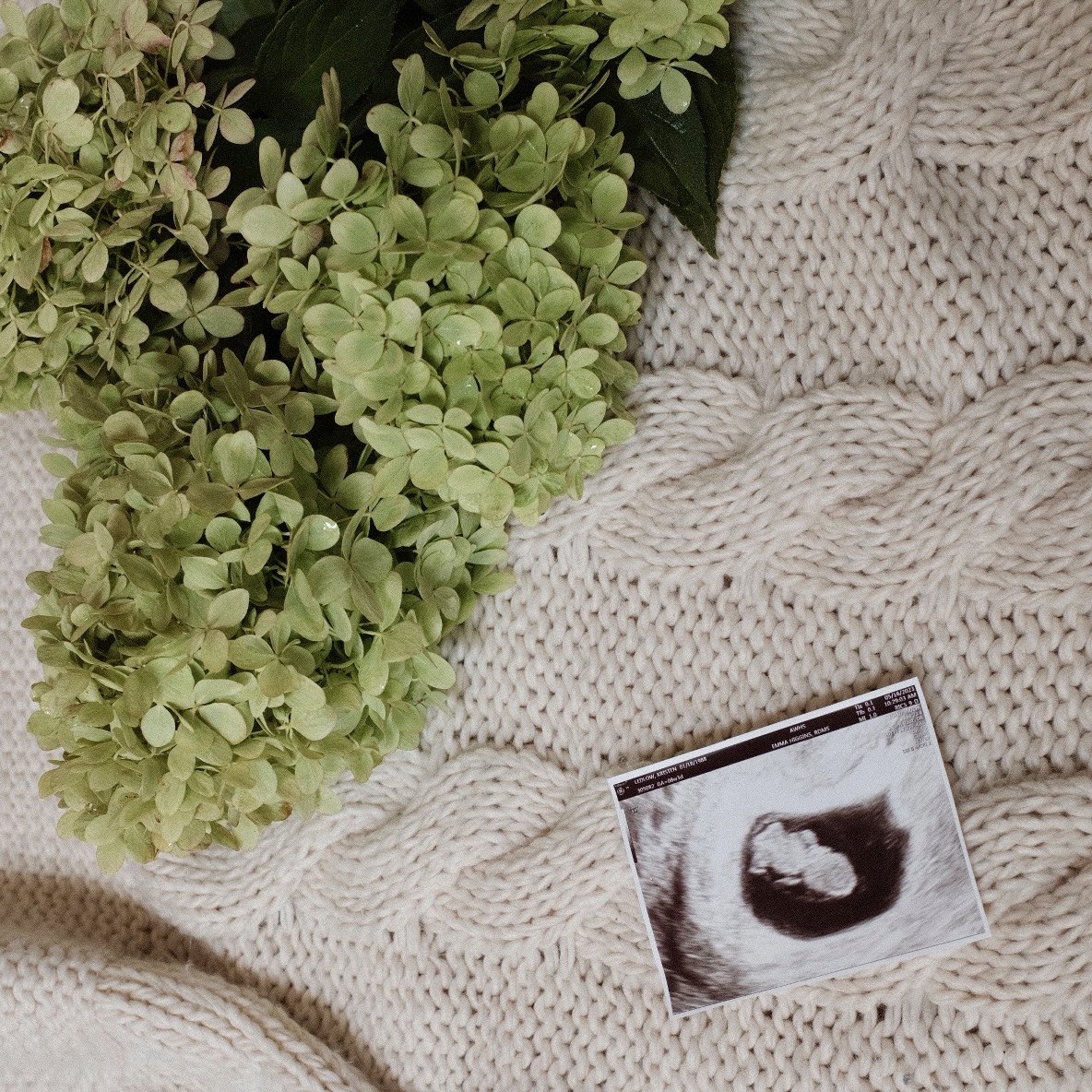 Kristen Ledlow tweet media