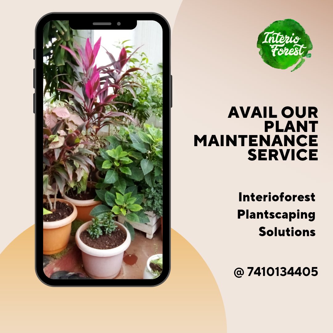 We ❤️ what we do 

We offer result oriented plant maintenance service, or else get money back

#plantsmakepeoplehappy #pune #indoorplantsdecor #indoorplants #indoorlandscaping #plantbeauty #PlantHappiness #indoorjungle #greenisthenewtrend #happycustomer