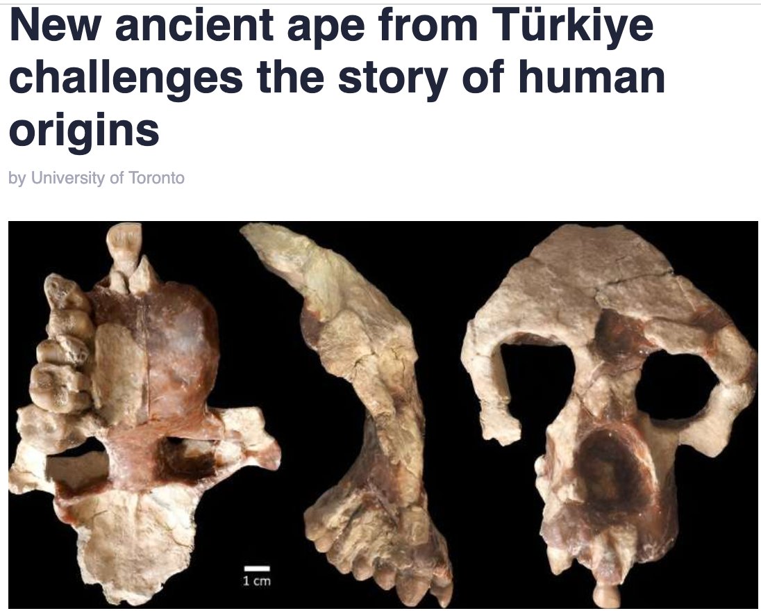 Graham Hancock tweet media