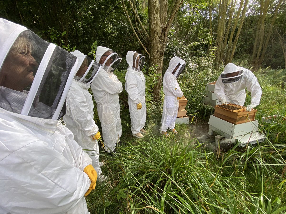 psaxton63's tweet photo. Today we needed to don protective clothing as we got up close with a colony of 🐝 🐝🐝🐝🐝🐝 courtesy of a beekeeping experience at @bicestervillage including samples of their delicious honey 🍯. https://t.co/nQG3deWzYX