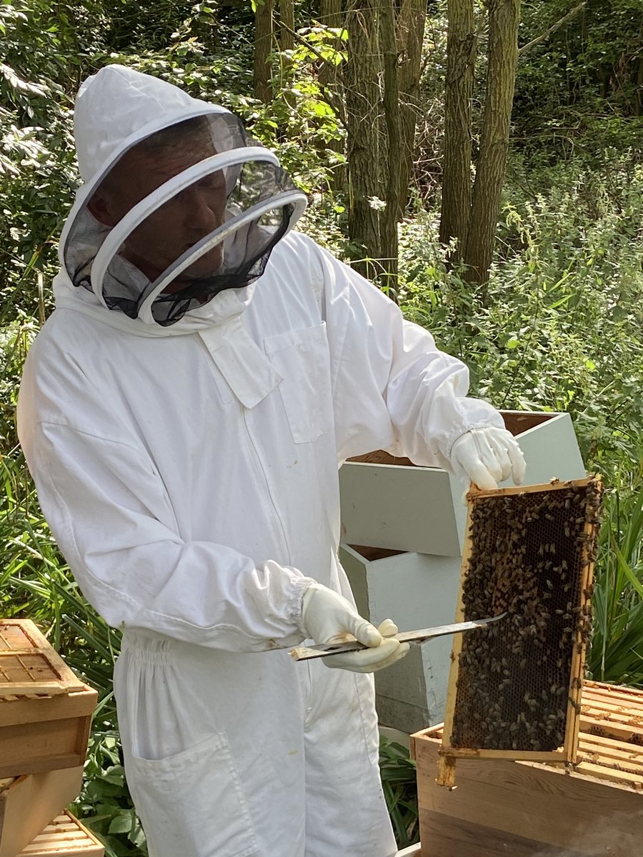 psaxton63's tweet photo. Today we needed to don protective clothing as we got up close with a colony of 🐝 🐝🐝🐝🐝🐝 courtesy of a beekeeping experience at @bicestervillage including samples of their delicious honey 🍯. https://t.co/nQG3deWzYX