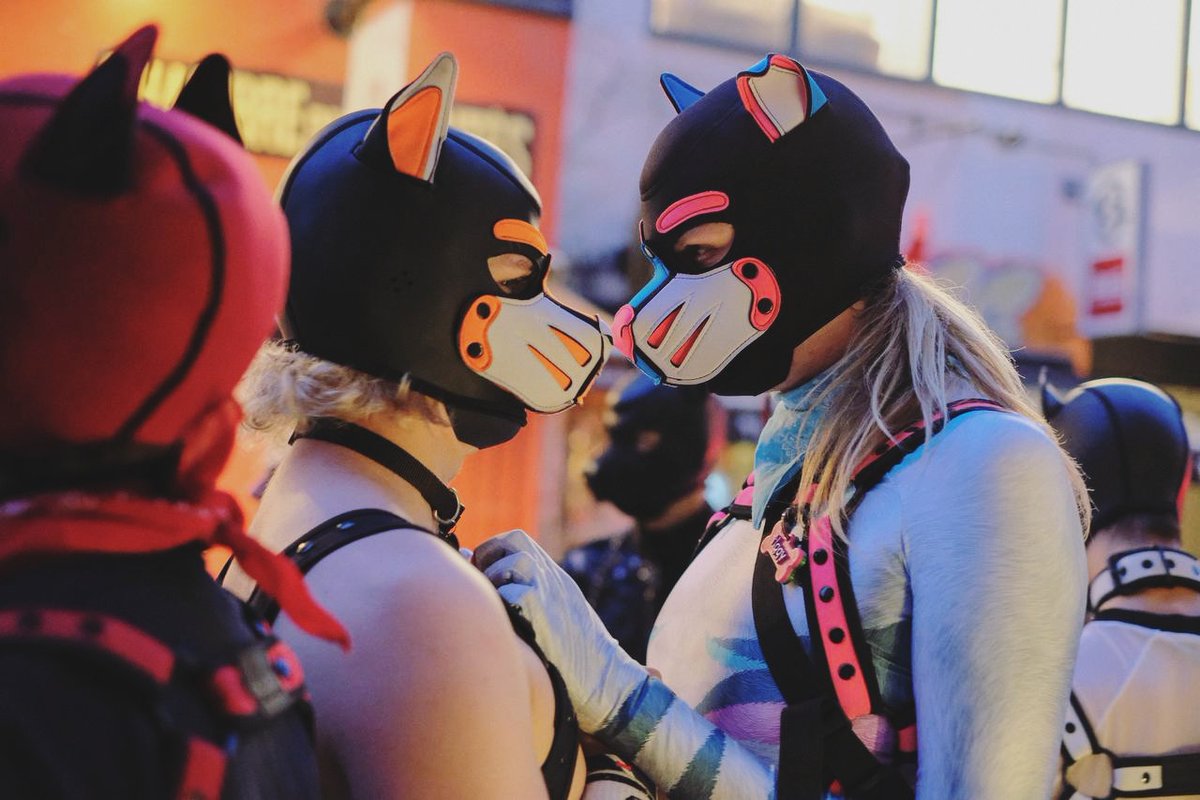 You'll always be my favourite 🩷🐾🧡 <a href="/Wolfpupper2/">Bomfo (wolfy) ❤🔞💫</a>
📷: <a href="/pupschip/">Chip (Hotwheels dog)</a>
.
.
#humanpup #puppyplay #gaypup #puppylove