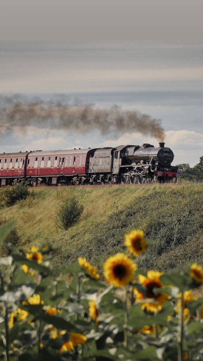 Dunkable Bath tweet media