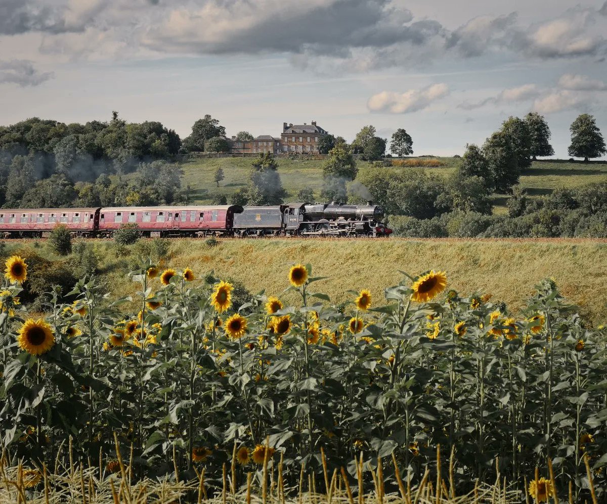 Dunkable Bath tweet media