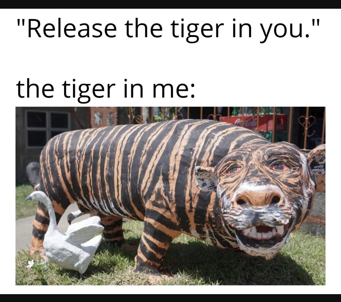 ArgyllSeaGlass's tweet photo. @InternetH0F 🐅 🐯 😂 https://t.co/tAZDHbzhEb