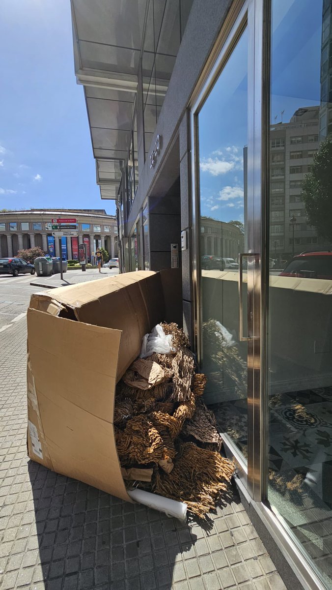 Patricia Portela tweet media