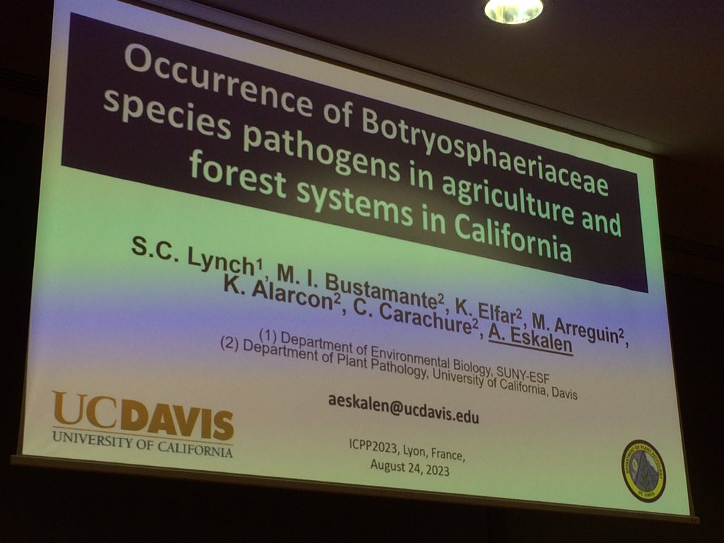 pascal_frey's tweet photo. #ICPP2023 @AkifEskalen on #Botryosphaeriaceae in #agriculture and #forest systems in California https://t.co/cF4Fj6HxTr