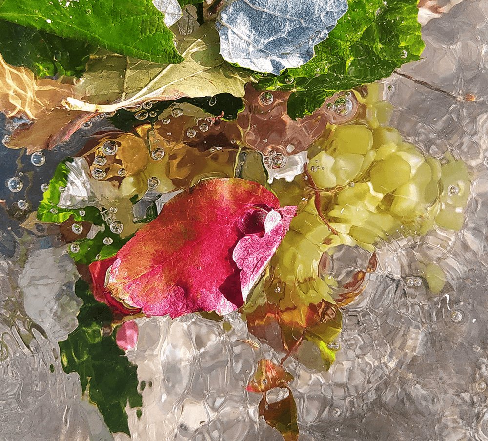 NFTdropart's tweet photo. #Abstract #abstractart #photography #rose #nft #NFTs #nftcreator #NFTartist #NFTCollection #NFTsForSale #nftsale #NFTdrop

Oceanic Metamorphosis: Grapes and Vine Leaves in Liquid Alchemy
https://t.co/pyLPr98KiG https://t.co/WIqVJMqTaf