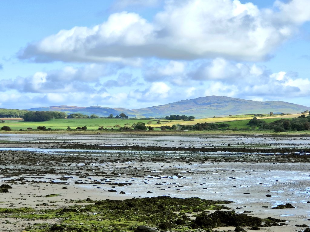 daldred007's tweet photo. Aug 24
Day 234/365
007 out &amp; about again! A coastal path walk from @candmclub
@Media_CAMC  Garlieston with views across the bay, takes you to the ruins of Cruggleton Castle passing by Rigg Bay Beach at low tide.
 #atouraroundtheuk
#inspiringadventures #VisitScotland #Garlieston https://t.co/wVAtxZbokF
