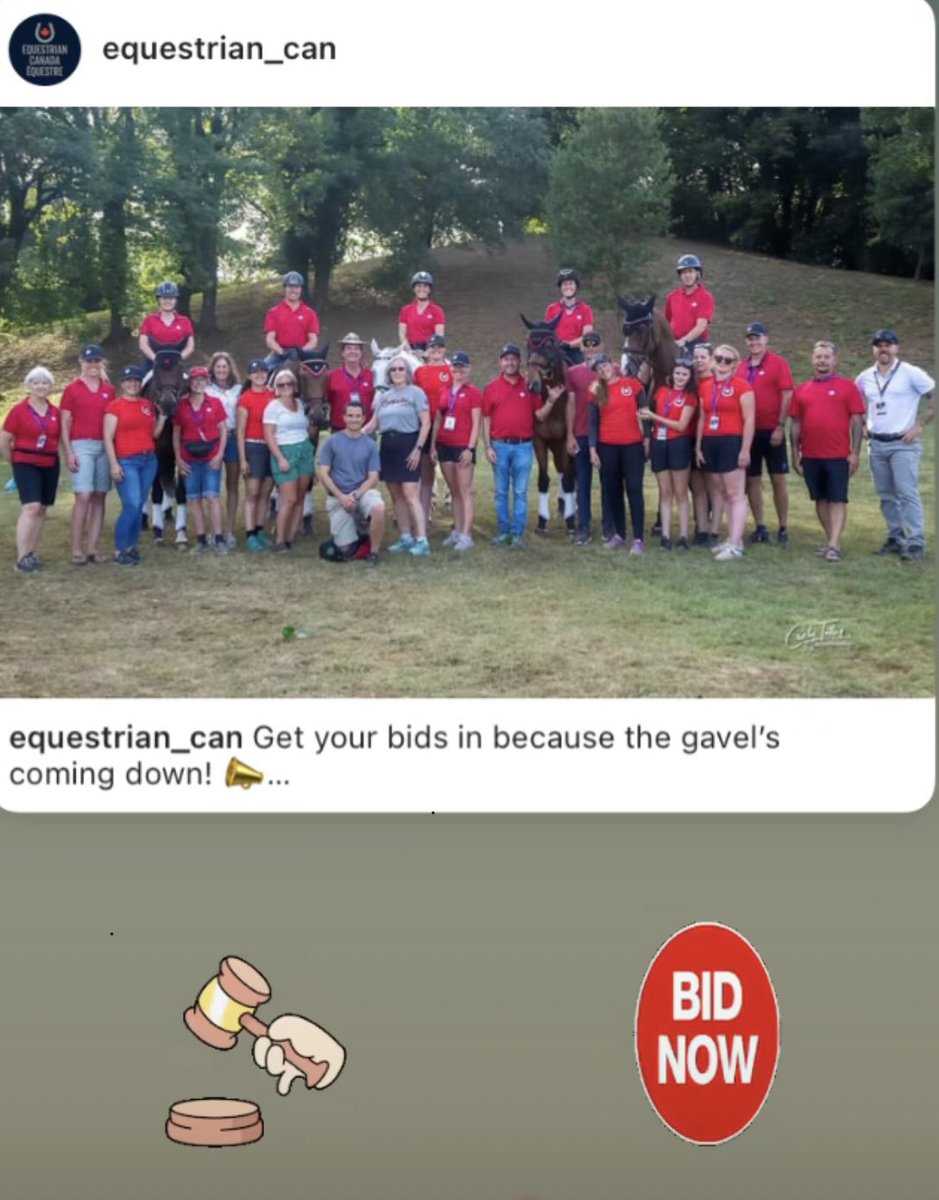 mjcooper55's tweet photo. Get your bids in - over $26,000 of fabulous items. Support our Canadian Eventing Team’s “Pathway to Paris” online auction:  https://t.co/cCl7W6IPPT https://t.co/rjTUEQF5tj