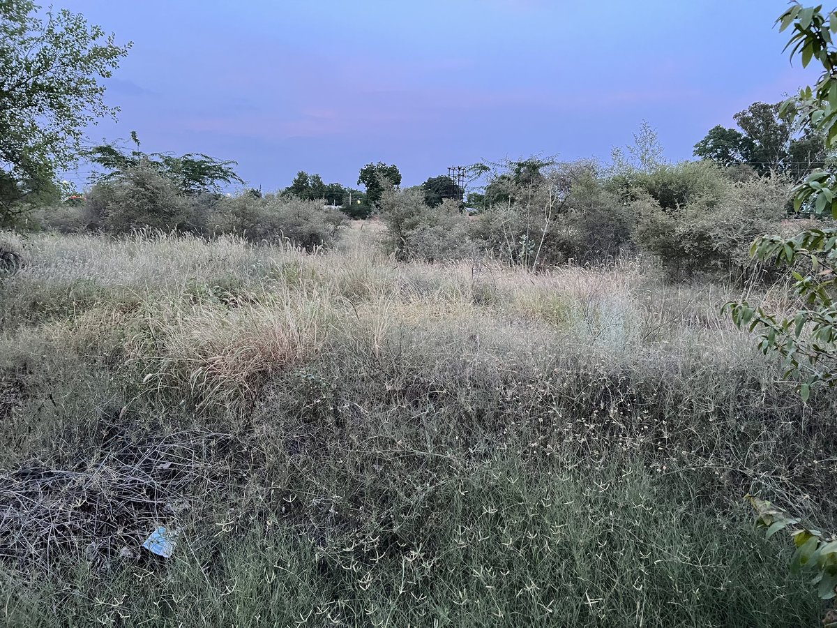 #Soil shelters a quarter of Earth's #biodiversity? 🌿
It exemplifies one of nature's most intricate #ecosystems. 🌳
Adopting sustainable #HabitatRestoration methods like ours through #FamilialForestry safeguards #soil health, allowing its organisms to engage and fortify the…