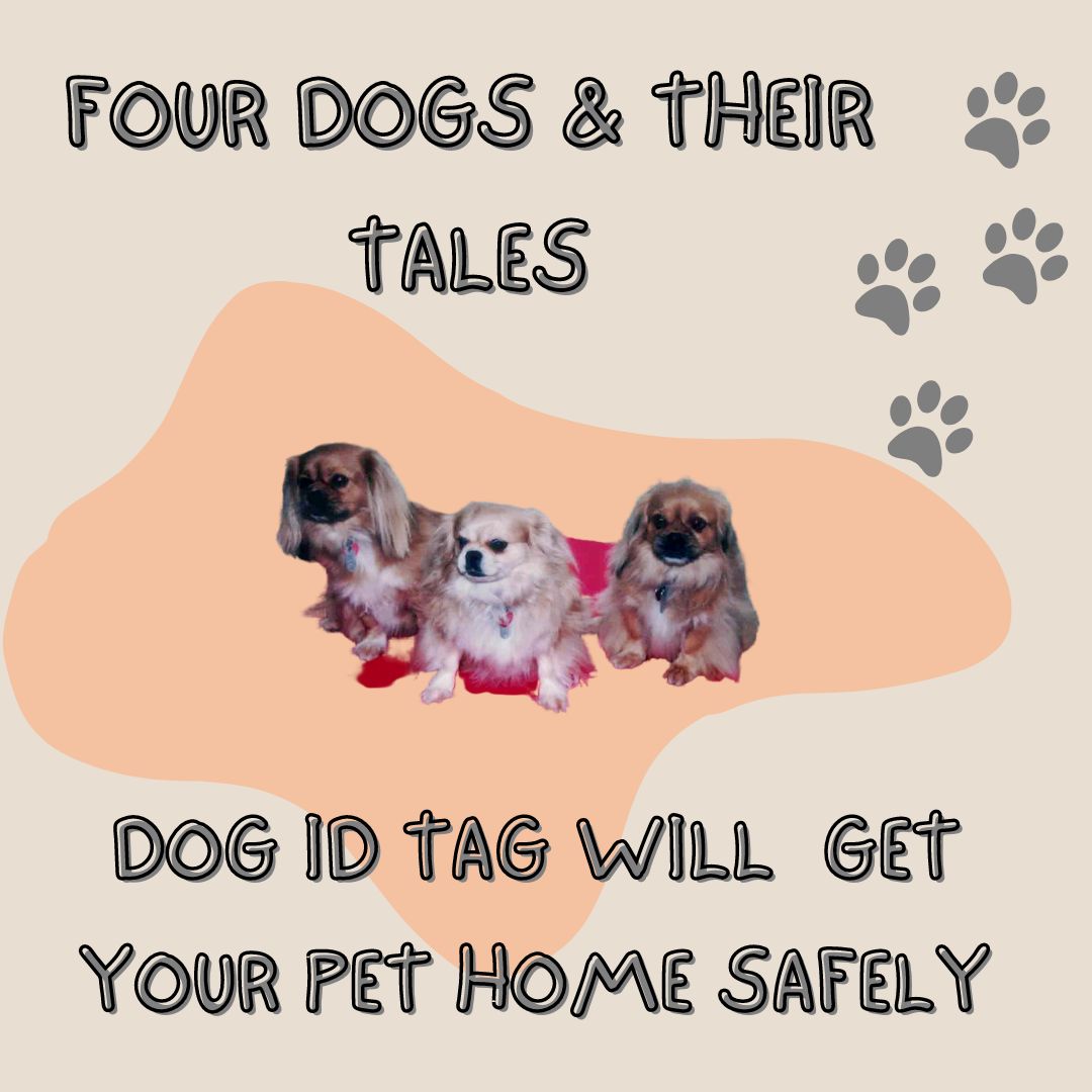 dogs_tales's tweet photo. Dog ID tag is an absolute necessity! It is one of the surest ways to get your furry pal home.
Click to order your copy on Amazon: https://t.co/I5OjcgMh2h
#dogidtag https://t.co/yUyXZq0s9X