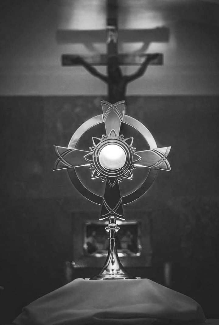mifeymidevocion's tweet photo. Infinitamente sea Alabado mi Jesús Sacramentado 
#JuevesEucaristíco 
#MiFeyMiDevoción https://t.co/QDH1jmPKpX