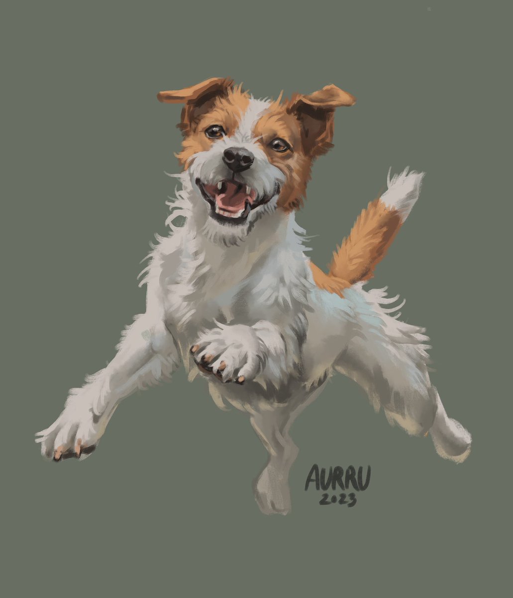 Jack Russell Terrier for #doggust 🐶