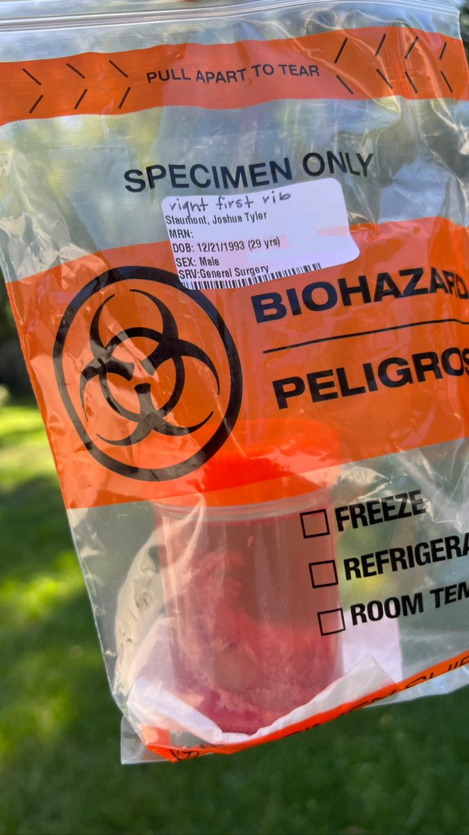 Dr. Angelina Staumont tweet media