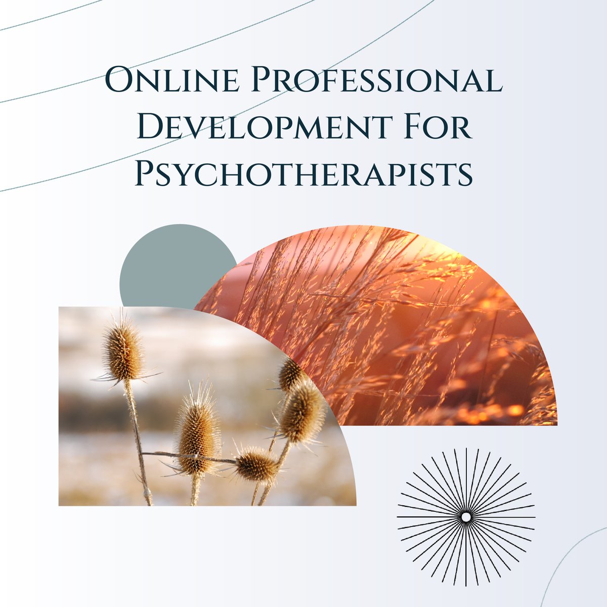 GeeksOnTheBeach's tweet photo. Explore transformative psychotherapy education with Bringing the Body into Practice! Lisa Mortimore &amp; Stacy Adam Jensen, psychotherapists, nurture therapist growth through their online platform. 

https://t.co/p85xGJjfAI https://t.co/9RJgDHxr7o