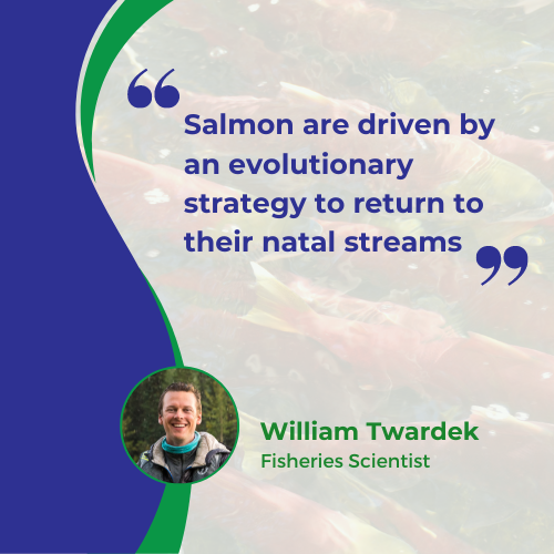 Ecofish Research, a Trinity Consultants Company tweet media