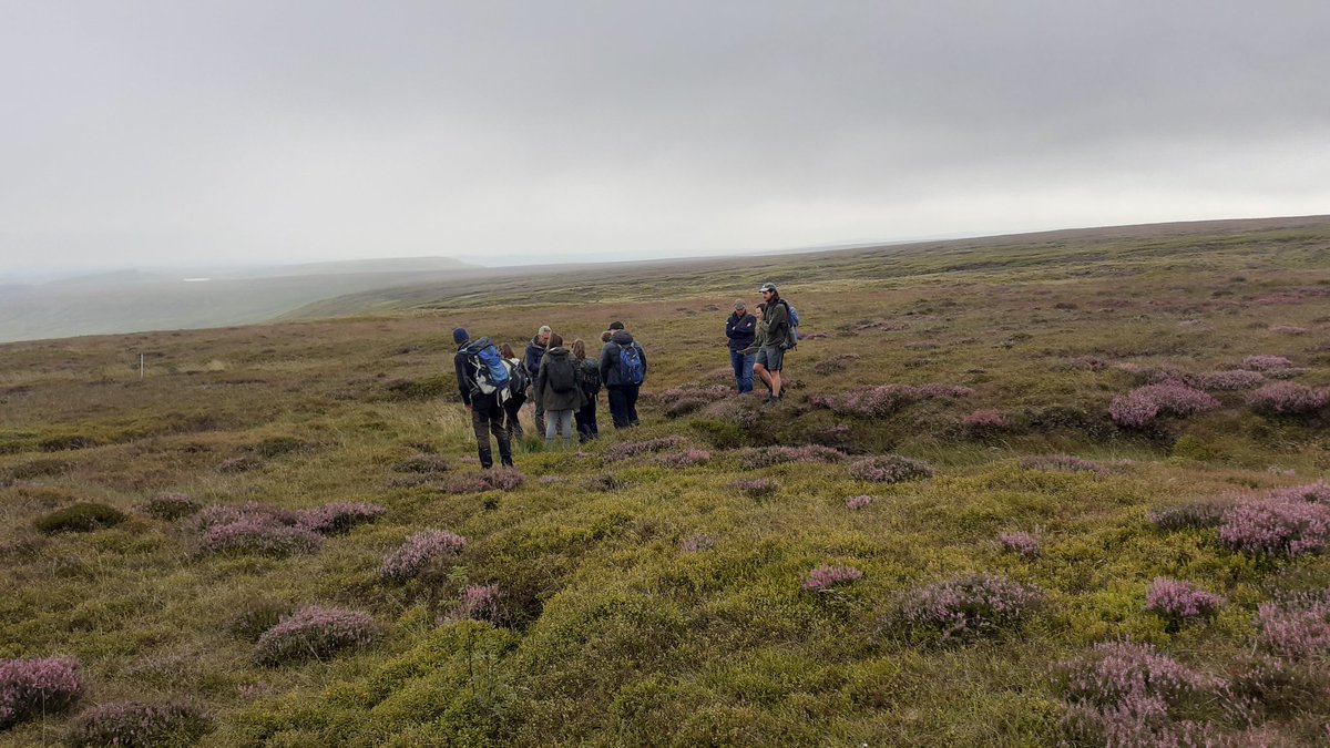 Excellent @peakdistrict visit with @DefraNature and @moorsforfuture staff and estate talking #peatland #restoration, evidence, monitoring and research needs. Long-term is key and lots of agreements. The rest is 'what was said on the bog stays on the bog'. Fab day but #midges!