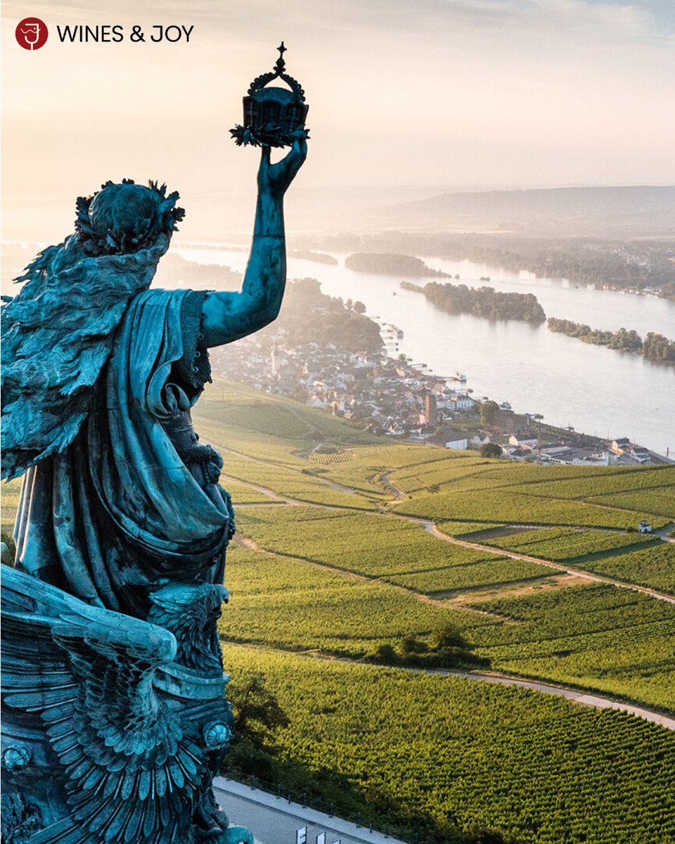 winesandjoy's tweet photo. Rheingau Wine Market in Frankfurt, from 30th of August till 9th of September, join us tasting countless kinds of white, red and sparkling from Rheingau region. More on: https://t.co/1JRpZP5RWe #riesling #wein #wine https://t.co/nB5UfgJM9v