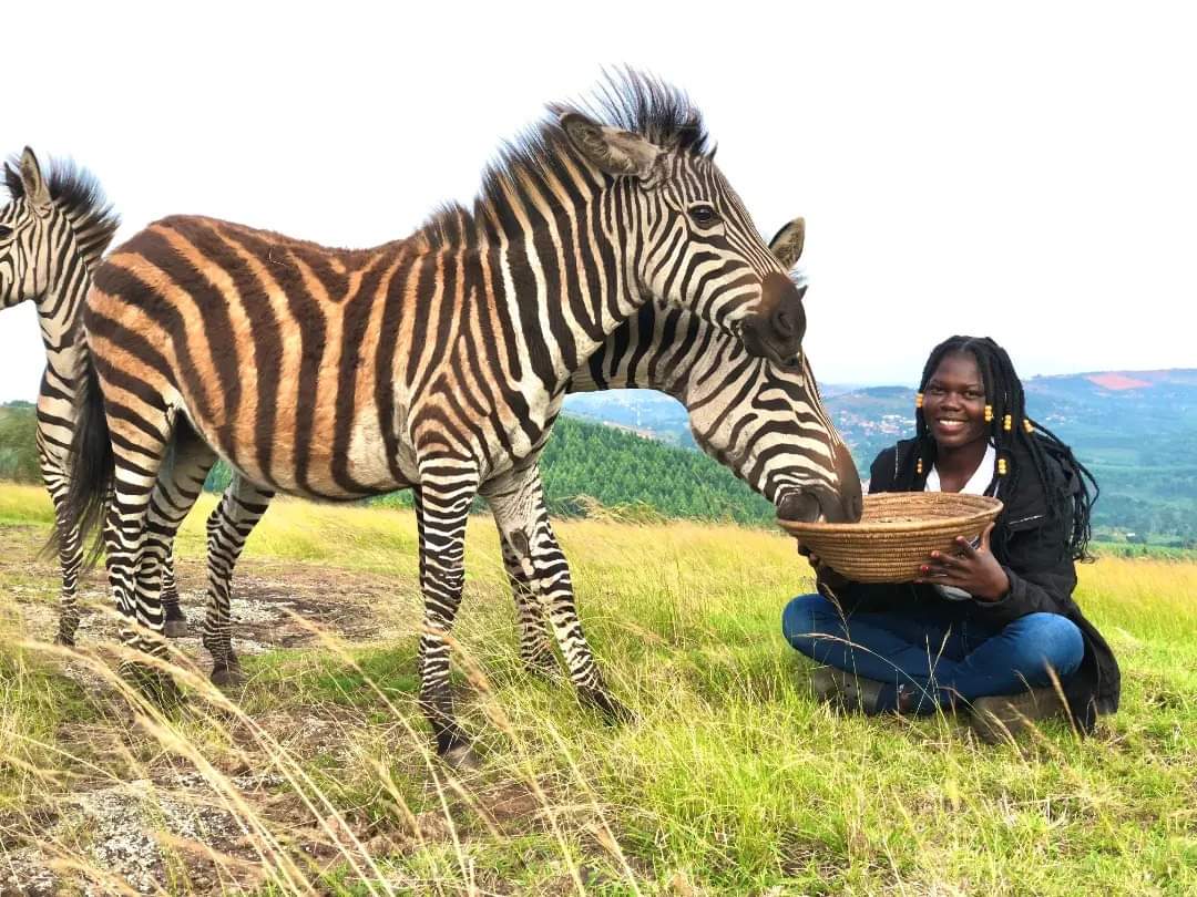 SnakeGirlUG's tweet photo. Imagine how great the world would be if everyone participated in the protection and conservation of wildlife and their habitats🐾❤️ @ctcconservation
@ExploreUganda @MTWAUganda

📷 @TianoTrace https://t.co/O4SYg9APj7