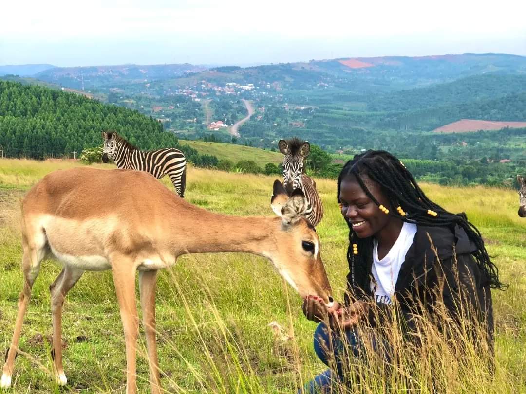 SnakeGirlUG's tweet photo. Imagine how great the world would be if everyone participated in the protection and conservation of wildlife and their habitats🐾❤️ @ctcconservation
@ExploreUganda @MTWAUganda

📷 @TianoTrace https://t.co/O4SYg9APj7