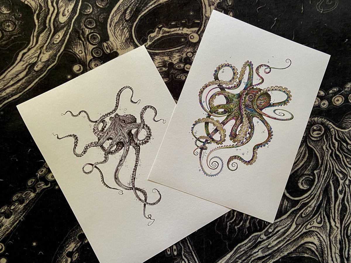 bernoid's tweet photo. 🐙*SPECIAL OCTOPUS OFFER*🐙
2 x A3 (297x420mm) signed Giclée Octopus prints for £75!
For a limited time only. FREE postage in the UK. DM for details. #octopus #octopusart #octopusprint https://t.co/hCVuX9Gpm7
