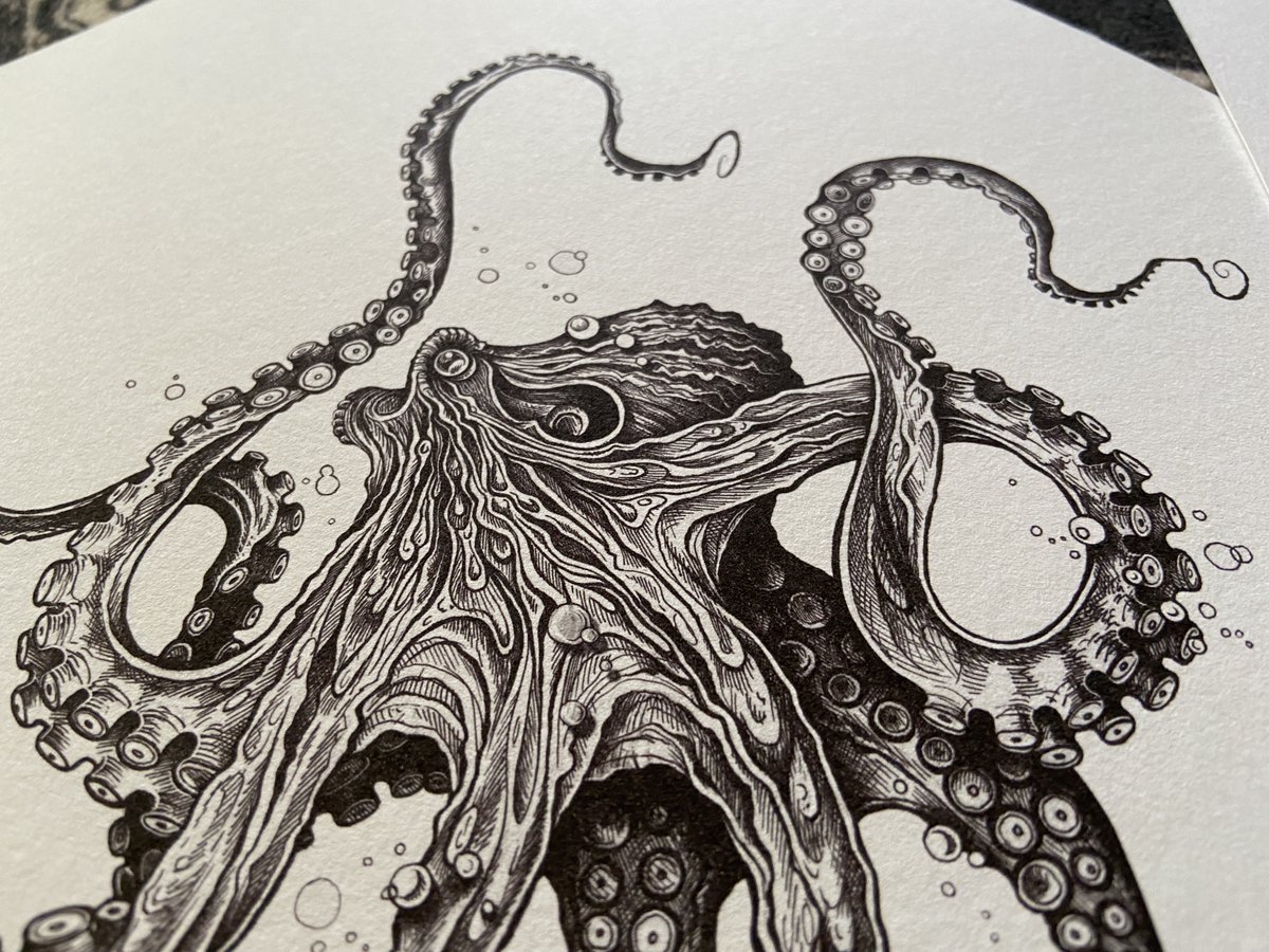 bernoid's tweet photo. 🐙*SPECIAL OCTOPUS OFFER*🐙
2 x A3 (297x420mm) signed Giclée Octopus prints for £75!
For a limited time only. FREE postage in the UK. DM for details. #octopus #octopusart #octopusprint https://t.co/hCVuX9Gpm7