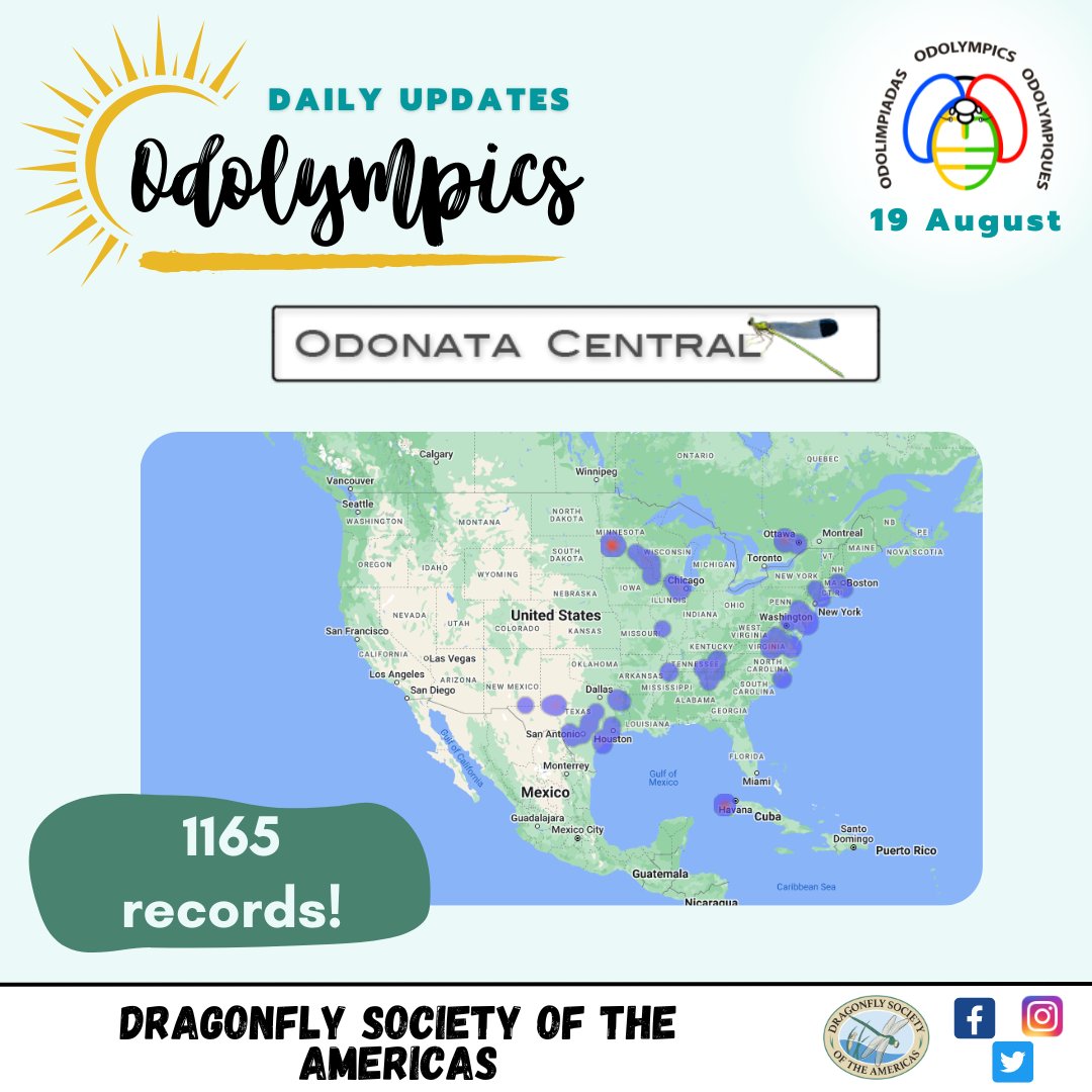 OdonataAmericas's tweet photo. ๐๐๐ ๐๐ช๐๐ก๐๐๐ค ๐๐ก๐๐๐ฅ๐!!!
Hello, #Odolympics followers! Yesterday was an important day because #dragonflies from Cuba ๐จ๐บ were recorded. Let's keep adding more records!
#bioblitz #Odolimpiadas #CitizenScience #libelulas https://t.co/Q623npPoMo