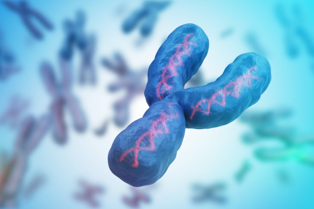 È stato finalmente decifrato il cromosoma Y umano, l'ultimo tassello misterioso del nostro patrimonio genetico. focus.it/scienza/salute…