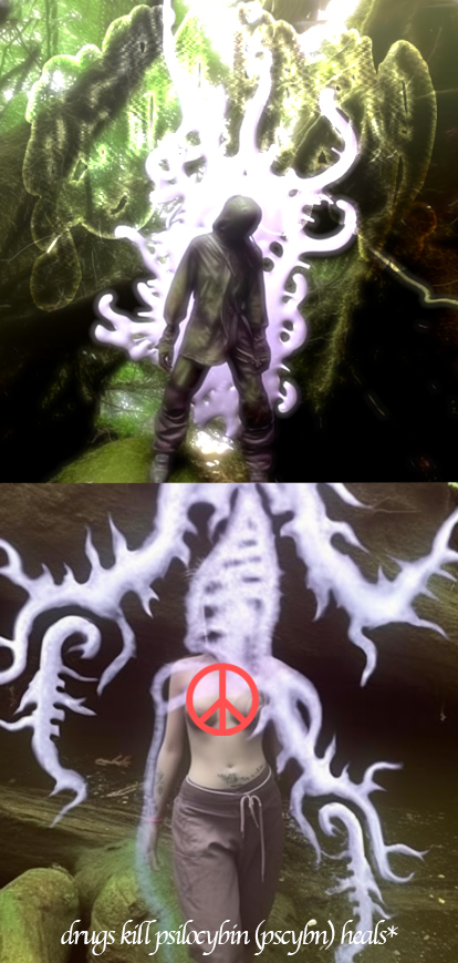 Drugs Kill
Psilocybin Heals
(2023)