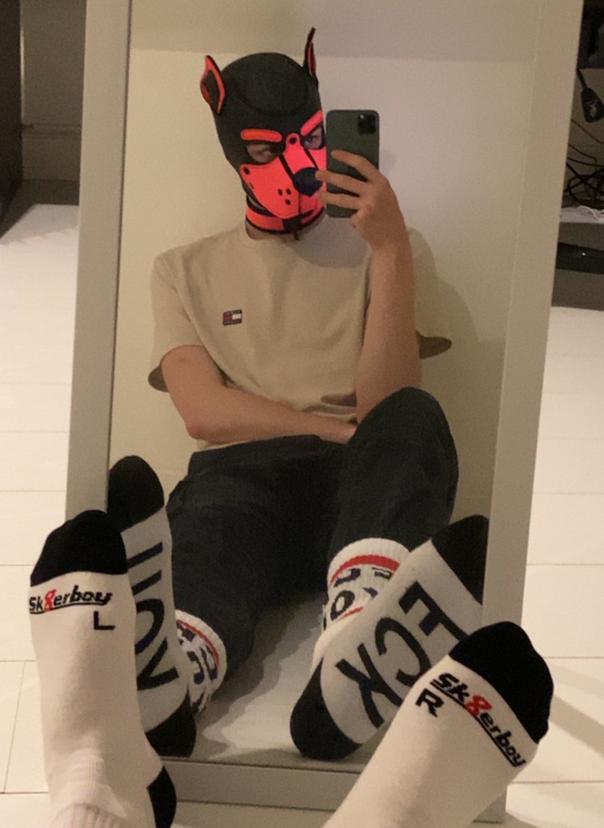 PupArchie19's tweet photo. Wruff🐶 https://t.co/hnmaQiosPD