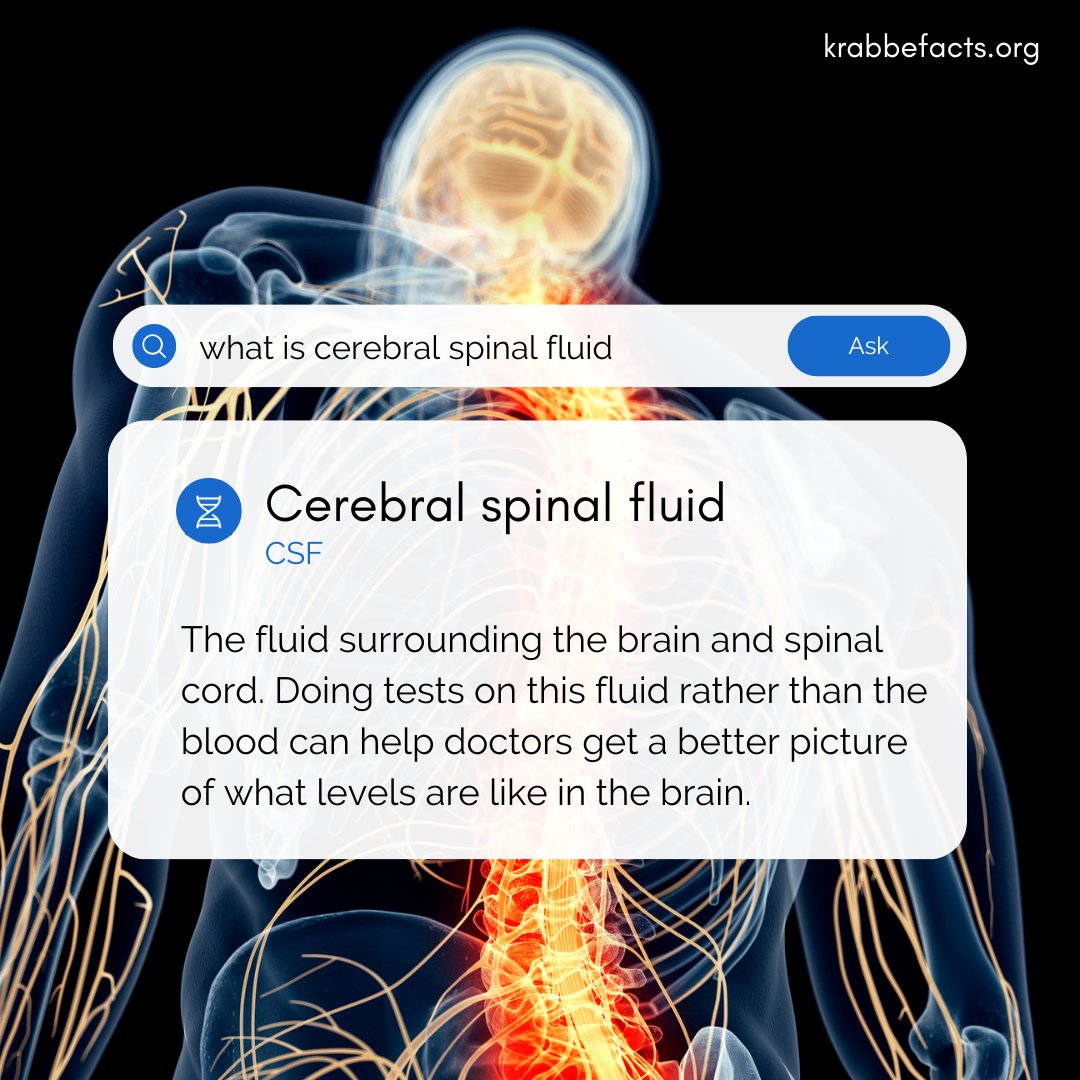 KrabbeFacts's tweet image. With Krabbe disease, you may see references to "CSF" on a report. Cerebral spinal fluid, or CSF, is the fluid surrounding the brain and spinal cord. Testing CSF can provide insights into brain levels.

Learn more loom.ly/H90V3vg #KrabbeFacts #CerebralSpinalFluid #CSF