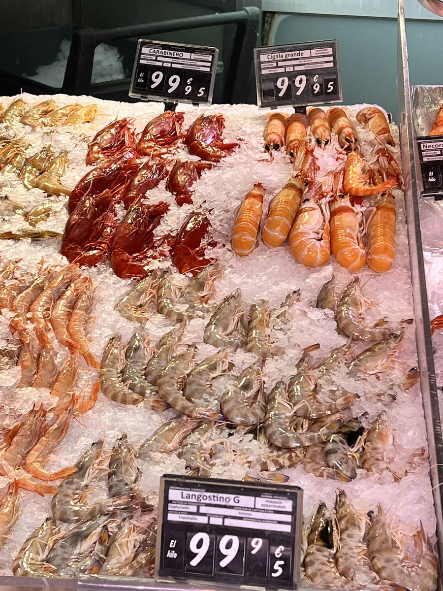 Drazen Drnas tweet media