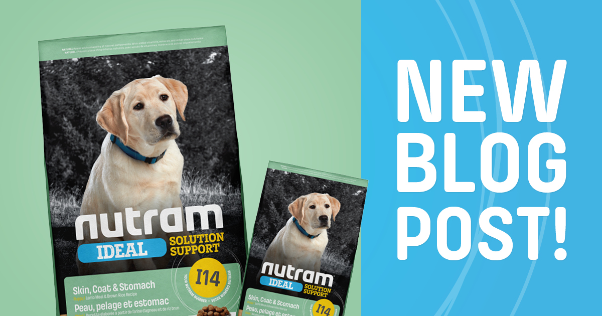 Whether your puppy has allergies, a unique taste preference, or needs a wholesome and balanced diet, our chicken-free I14 Nutram Ideal Solution Support Skin, Coat &amp; Stomach Puppy Lamb Meal &amp; Brown Rice recipe ticks all the boxes!

Learn more at nutram.com/ca/article/bey…