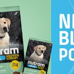 Photo by Nutram Pet Products (@nutram)
