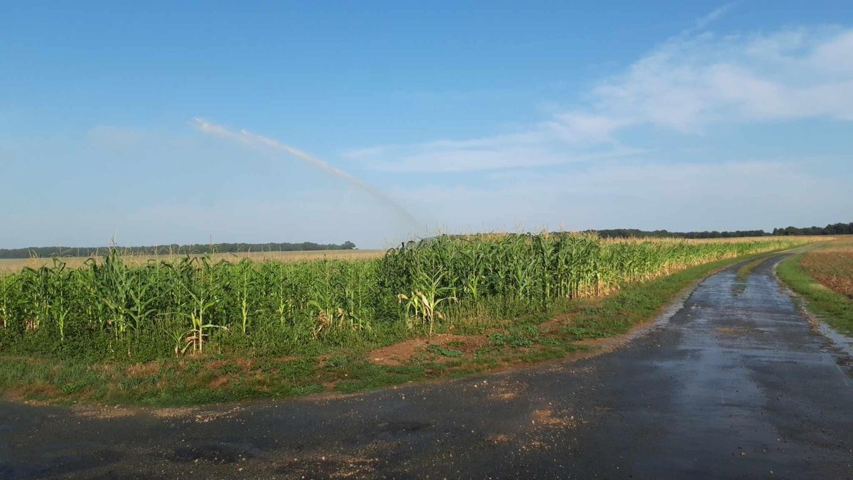 lessoulevements's tweet photo. Pendant que les défenseurs•euses de l’eau traversent la France, les irrigants poitevins connectés aux #mégabassines continuent leur gaspillage d'#eau indécent 😤

Arrosage de monocultures de maïs (et des routes) en pleine journée, fuites d'eau, cours d'eau à sec...

THREAD 🧶⤵️ https://t.co/TH4mwtK01J
