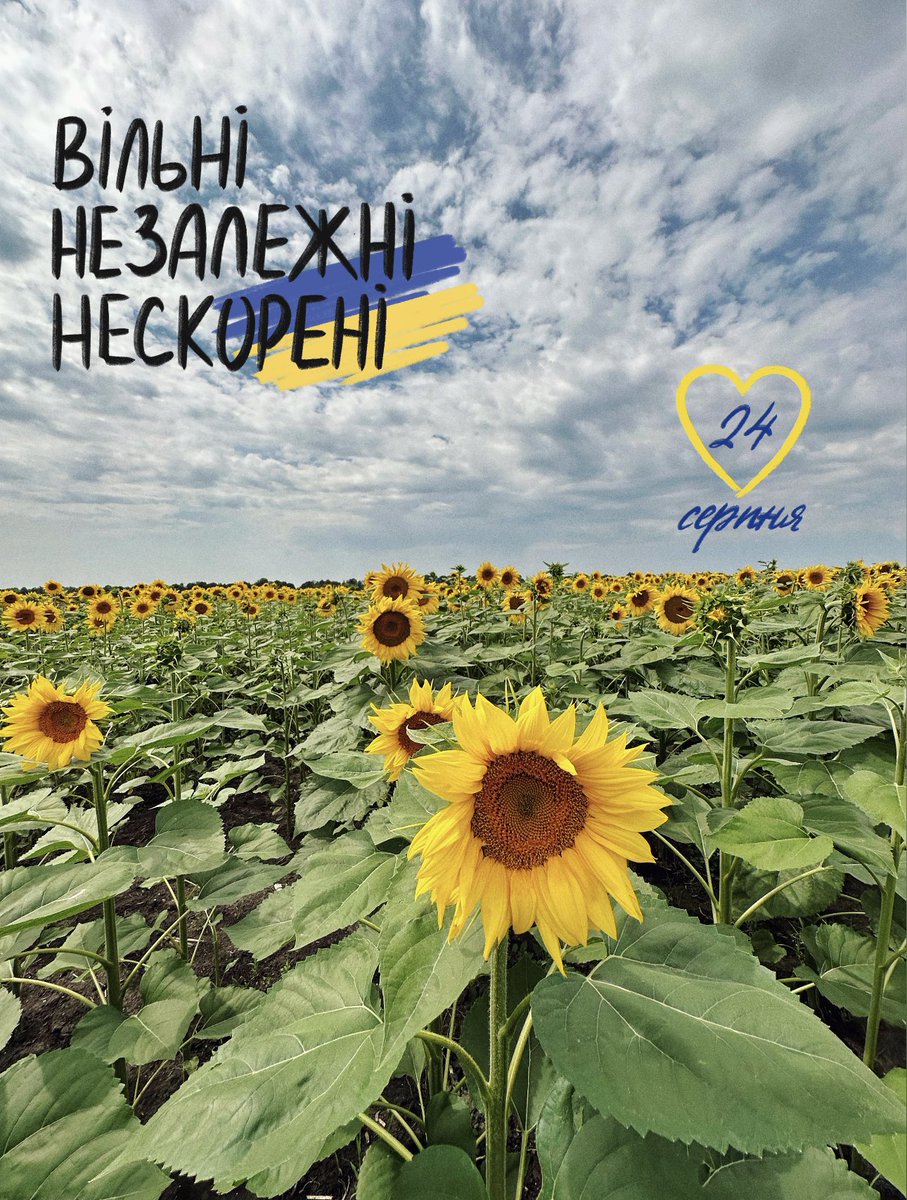 Sei Ukraine🚢🇺🇦 tweet media