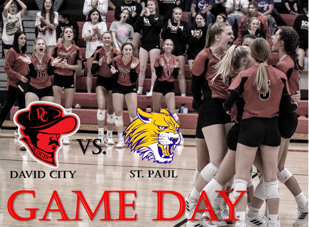 David City Volleyball tweet media