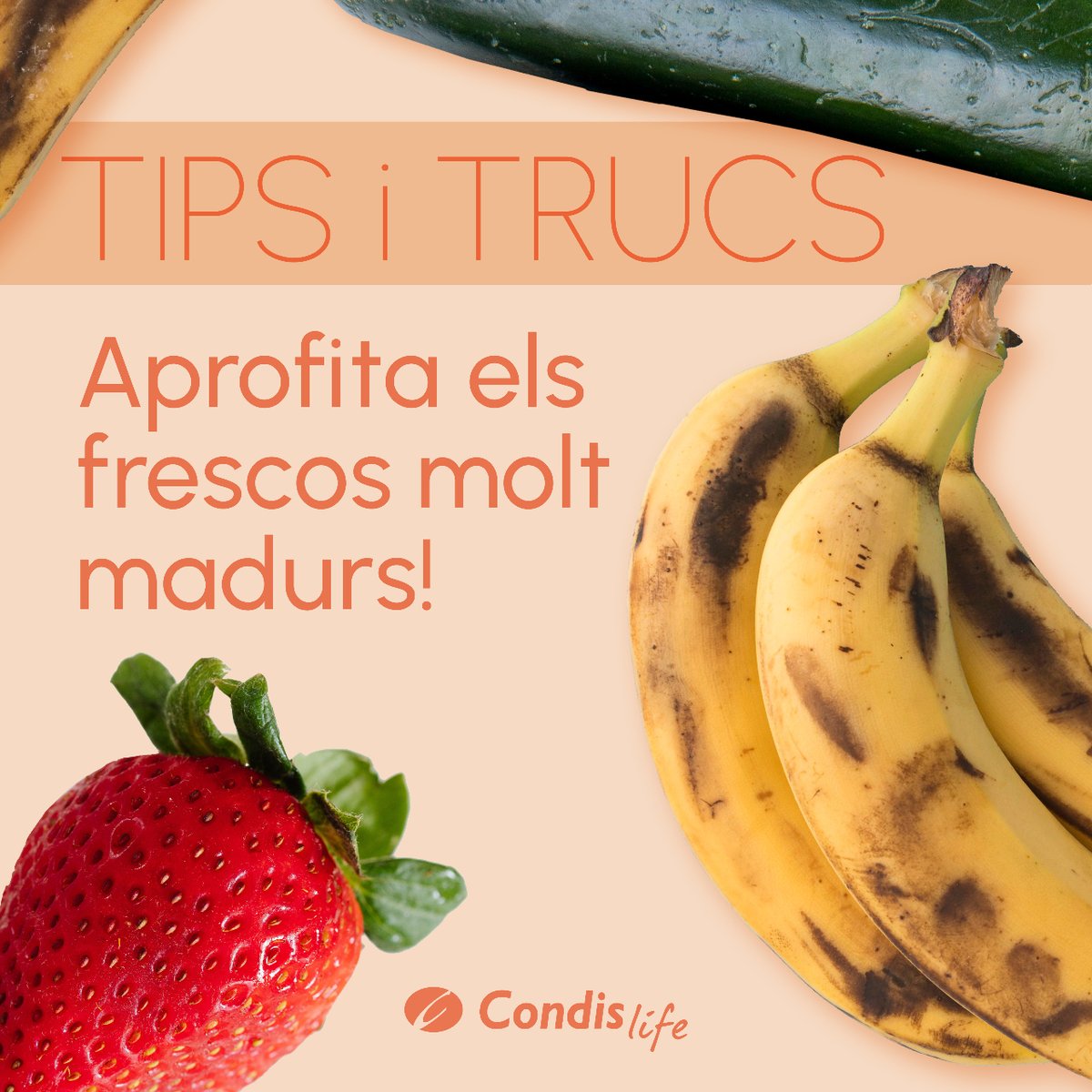Condislife's tweet photo. Aquí no desaprofitem res! ♻️
Si tenies pensat enviar a la brossa aquell fresc de la teva nevera que està una mica massa madur, atura’t! Et donem alguns consells de com els pots reaprofitar d’una forma deliciosa. 😋
#CondisLife #Condis #Supermercat #Alimentacio #Receptes https://t.co/G52oGKIAFg