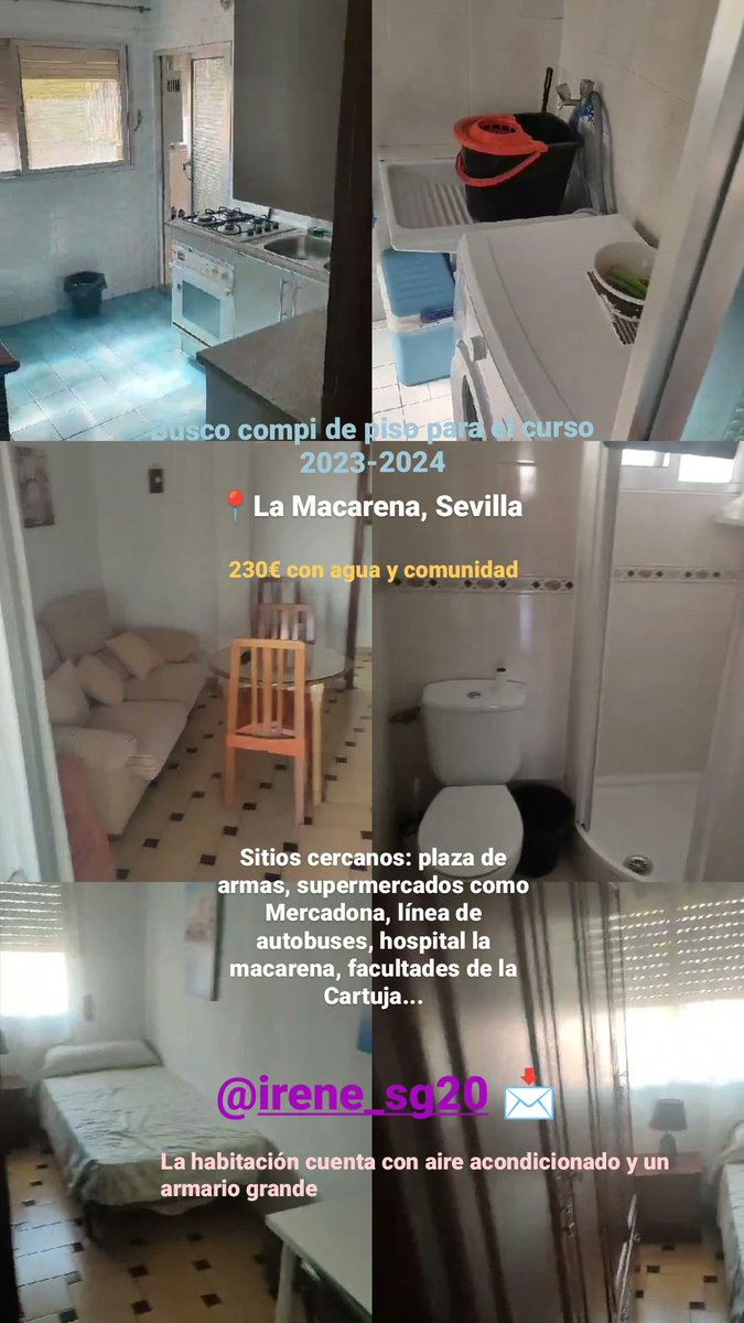 Preguntad sin ningún compromiso.
Tengo el vídeo completo del piso.
#SEVILLA #pisos #pisossevilla #Estudiantes #lamacarena