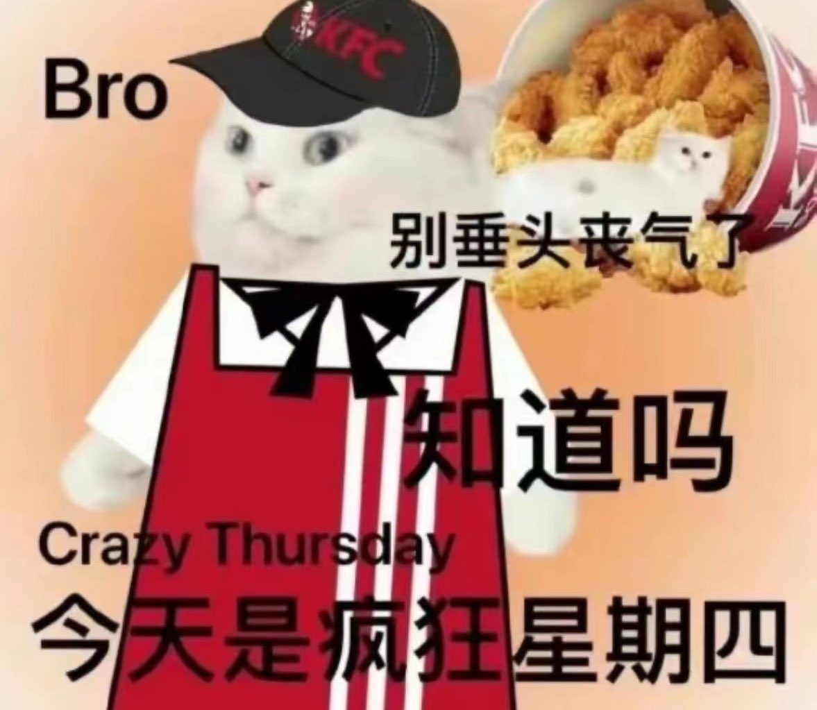 Bro，别垂头丧气了，知道今天是什么日子吗？今天是肯德基 #疯狂星期四
#SHIBA链 就是垃圾 不如一顿KFC 
 
✅ 转发本条推特，点赞

✅ 关注下面两位用户
<a href="/0xGCB/">0x盖茨比 🎯</a>（一级调研选手 盖茨比）
<a href="/911_eth/">911Crypto</a>
🏅 200USDT抽十个人，48小时后开奖