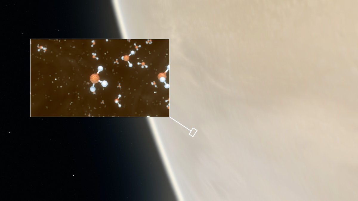 DLR_de's tweet photo. Gibt es Leben auf der #Venus? 🤔 2020 wurde dort #Phosphin entdeckt – ein Gas, das auf der Erde mit Leben assoziiert wird. Erfahrt mehr in unseren FAQs! 🌌🔬
Jetzt im #DLRblog: #Fakten, Debatte und neue Einsichten zur Kontroverse: https://t.co/SsoVckHnkx https://t.co/S2TTYaqQC4