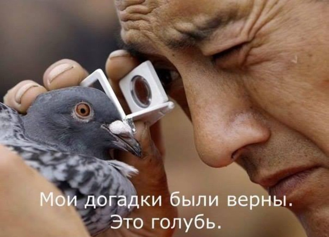 DantesDmitriy's tweet photo. https://t.co/mXxDr7ul9e