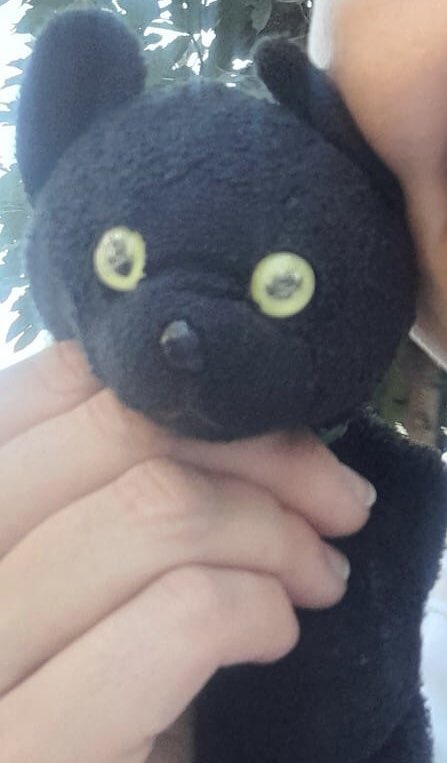 DivouxLab's tweet photo. Need your #help Twitter! - mon fils de 5 ans à perdu aujourd’hui, ce matin, à 11h30 sa #peluche #doudou à la gare de #Geneve probablement entre le quai 4 et le quai 7, c’est un petit #chat noir, yeux jaunes et collier vert avec une clochette. RT si possible… merci! https://t.co/wwgDLu43D5