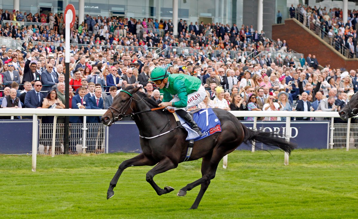 GBRI_UK's tweet photo. RELIEF RALLY

🥇 Debut £3,672
🥈 Royal Ascot £24,725
🥇 Super Sprint £122,925
🥇 Gr.2 Lowther Stakes £151,699

Bought by @agentbloodstock for 58,000gns at the 2022 @Tattersalls1766 Somerville Yearling Sale, the filly trained by @WilliamHaggas has earned £312,041 in four runs!