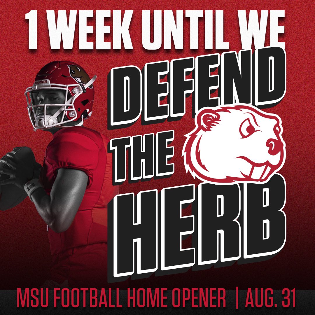 Minot State Football tweet media