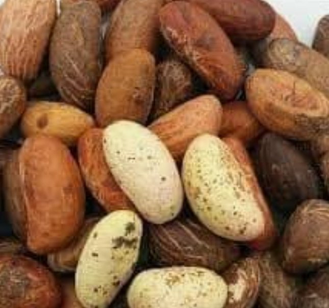SilvasTouch's tweet photo. Research has it that the mixture of Half Slice of Watermelon, 1 Bulb of Garlic, 6 Dates Nut, 5  Bitter Kola nut &amp; Blend all together with half cup coconut water
Take twice daily (Morning &amp; Night ) 
NOTE: Pls 🙏 
Do not use more than 3 daysin a week❌
DM for more info on this 💯 https://t.co/jtaScueLCc