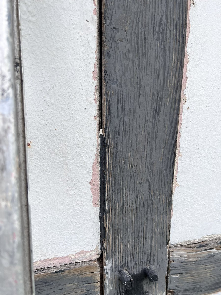 oscardecorator's tweet image. Need Advice what filler would you recommend ? 😎