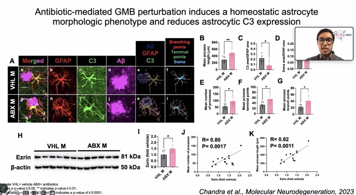 ISMND1's tweet photo. Up next, @SidTheSciKid_ @NorthwesternU discusses how gut #microbiome regulates #astrocyte reaction to amyloidosis through microglial dependent and independent mechanisms
#ISMNDNextGen https://t.co/djE6o6G9VU